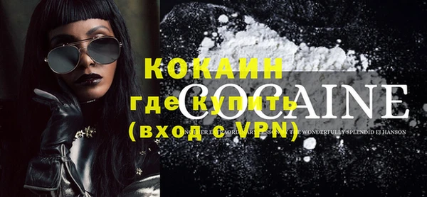 твердый Ельня