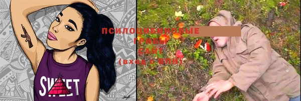 мяу мяу мука Елизово