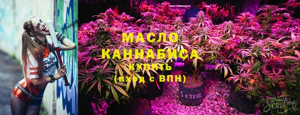 твердый Ельня
