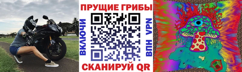 Псилоцибиновые грибы Psilocybine cubensis  Купить где  Ряжск 